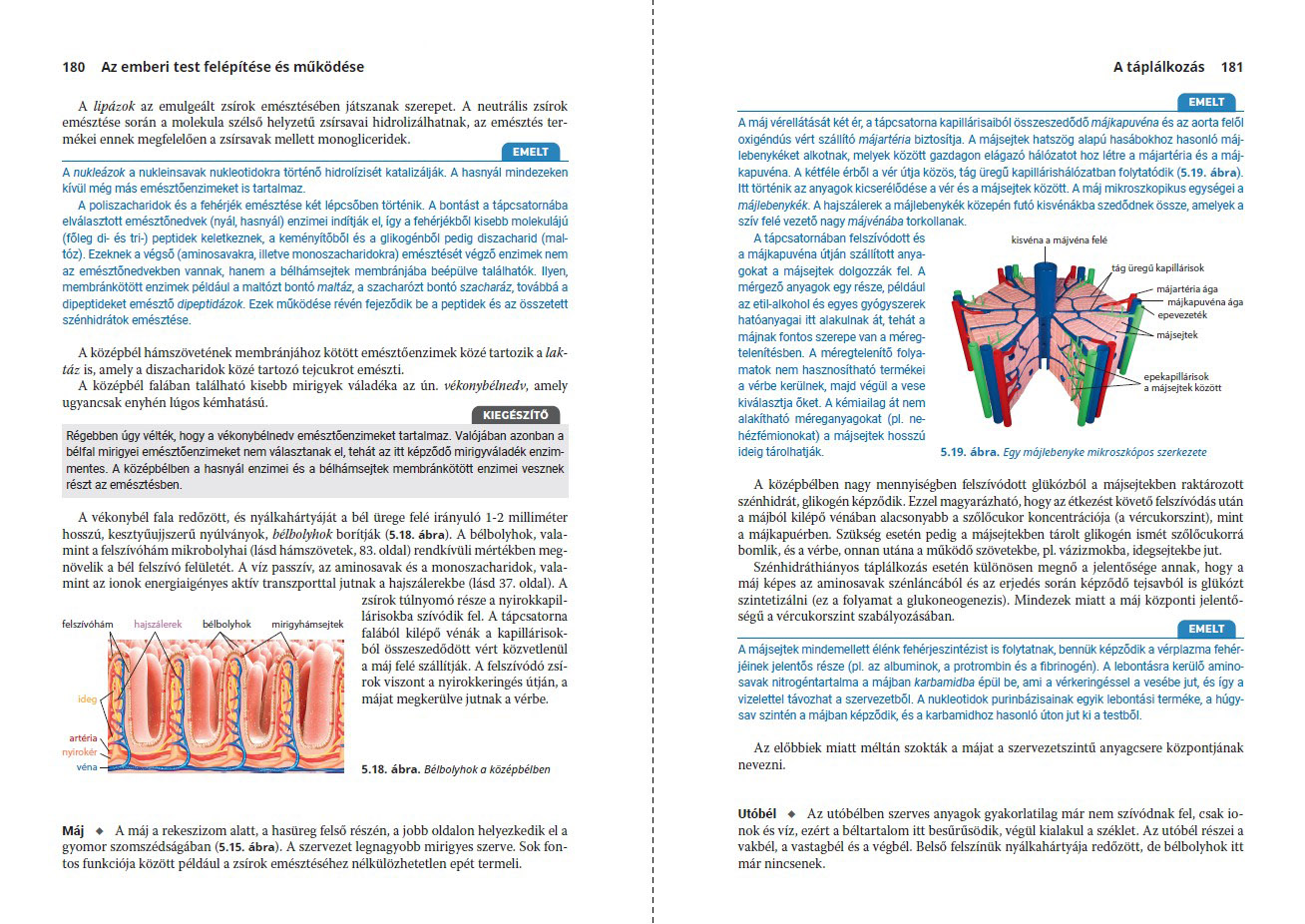 Panemsuli - biol�gia oldalp�r